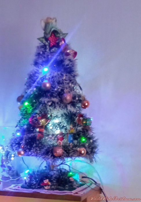 JOHANNA SARMIENTO  (Bogotá, Colombia )