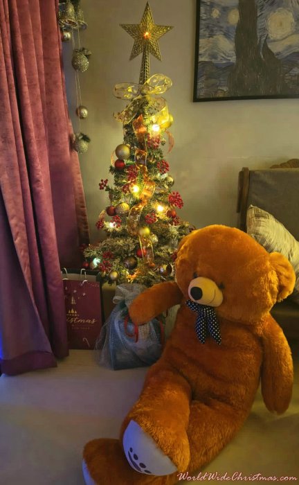 AVANTIKA CHATTERJEE  (Mumbai, India)