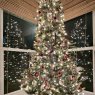 Claudia 's Christmas tree from Houston, TX