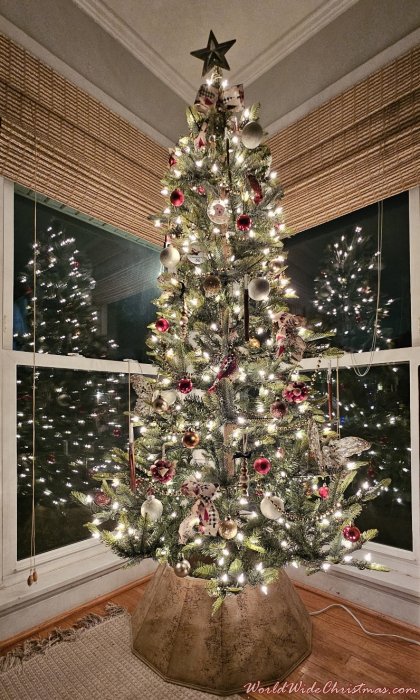 Claudia  (Houston, TX)