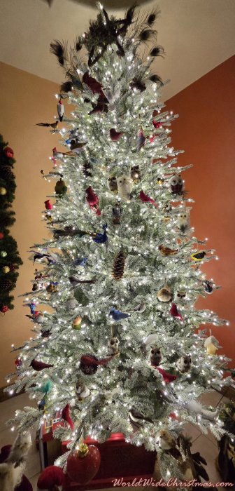 Connie Graham  (Weslaco, Texas, USA)