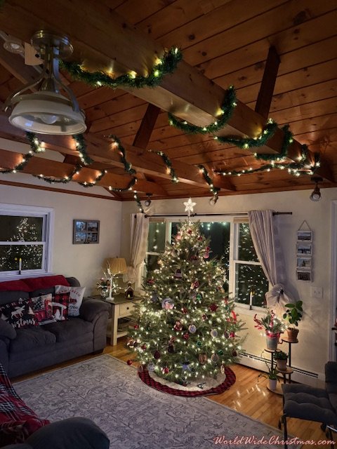 Moriah DeAngelis (Rhode Island )