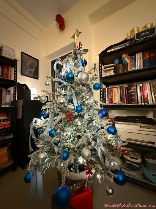 Shriganesh Jagdale  (Mumbai, Maharashtra, India)