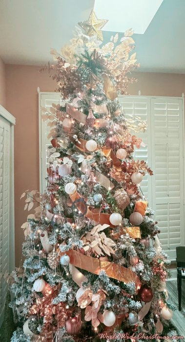 Serena (Selbyville, DE)