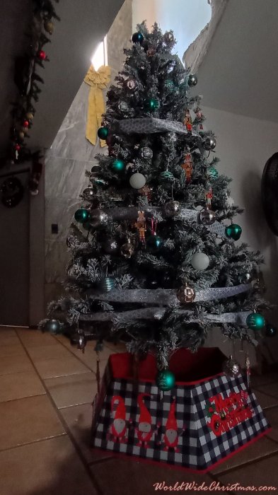 Carlos cazares  (León México )