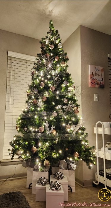 Crystal  (Fishers, IN)