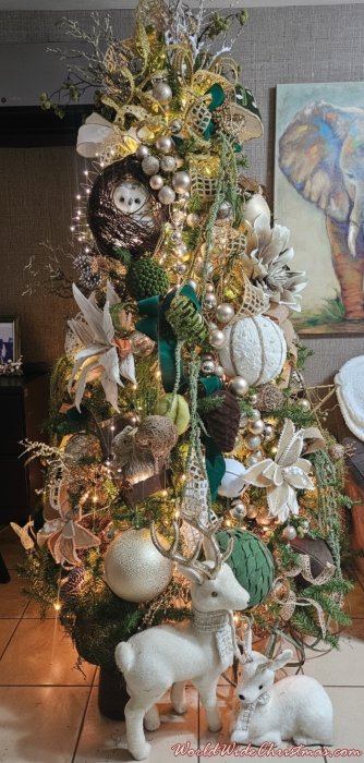 Yesenia Vidal (Sinaloa, México.)