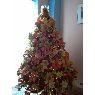 Rafaela's Christmas tree from Caracas, Venezuela