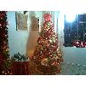 Jorge Homsi's Christmas tree from Venezuela