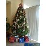 Claudia Dominguez San Juan's Christmas tree from Baja California, Mexico