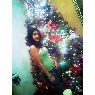 Familia Curiel's Christmas tree from Venezuela, Zulia