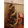 Serog's Christmas tree from Valencia