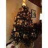Marlyn Cruz's Christmas tree from San Jose, Costa Rica