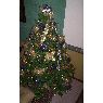 Weihnachtsbaum von José (Cali, Colombia)