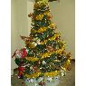 Weihnachtsbaum von Jesús Eduardo Piña (Mérida, Venezuela)