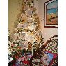 Bedci Marchan's Christmas tree from San Cristobal