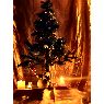 Inga's Christmas tree from Lithuania