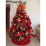 Ingrid Alvarado's Christmas tree from Valencia, Venezuela