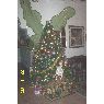 Silvia Laura's Christmas tree from Sinaloa ,Mexico