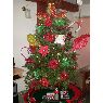 Milay's Christmas tree from Caracas, Venezuela