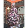 Familia Angulo Flores's Christmas tree from México D.F.