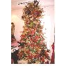 Fam Martinez's Christmas tree from Coahuila, Mexico