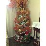 Familia Govea's Christmas tree from Venezuela