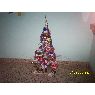Lia  Avalle's Christmas tree from Chaco, Argentina