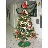 Jean Richard Jesús Balbin's Christmas tree from Lima, Perú