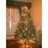 Miguel Pou's Christmas tree from Sillobre, España