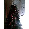 Juan's Christmas tree from Almeria