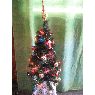 Karina's Christmas tree from Buenos Aires, Argentina