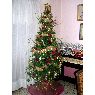 Maria's Christmas tree from Breña Alta, La Palma