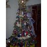 gerardo Bautista's Christmas tree from caracas, venezuela