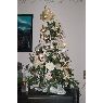 Binamé Martine's Christmas tree from Namur Belgique