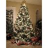 Stiliana Dimitrova & Peter Sokolowski's Christmas tree from Gilbert, AZ, USA