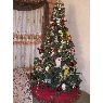 Árbol de Navidad de Rocio Mendoza de Scannella (Maracaibo, Venezuela)