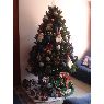 Sandra Martinez's Christmas tree from Bogota, Colombia