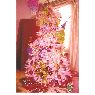 Deyanira Lopez's Christmas tree from Piedras Negras,Coah. Mexico