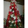 Randley Rosales's Christmas tree from San Cristobal, Venezuela