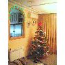 Kary's Christmas tree from Novelda