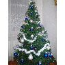 Neringa's Christmas tree from Lithuania