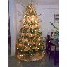 Oswaldo Reyes's Christmas tree from Ciudad Ojeda Zulia, Venezuela