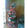 Weihnachtsbaum von Familia González Matheus (Maracaibo, Venezuela)