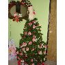 Carlos Arturo Errejon Gonzalez's Christmas tree from Salamanca, Guanajuato, México