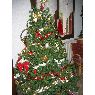 Vuillot's Christmas tree from St. Etienne du Bois - FRANCE