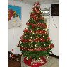 Karla Pineda's Christmas tree from El Progreso, Yoro, Honduras, C.A.