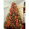 Ana Flores's Christmas tree from Lima, Peru