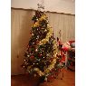 Gayane's Christmas tree from valencia