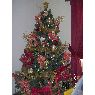 Carmen Alicia Alvarado's Christmas tree from Higuerote, Venezuela